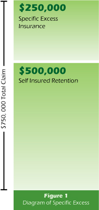 Specific Excess Insurance
