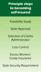 Principle steps to becoming self-insured
