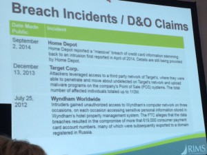 Cyber Liability and Directors’ and Officers’ Liability Insurance