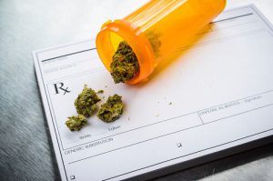 Marijuana: Lessons from Colorado and Maine