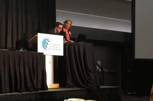 Developing Collaborative Multidisciplinary Models