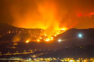 Disaster Planning and Response
