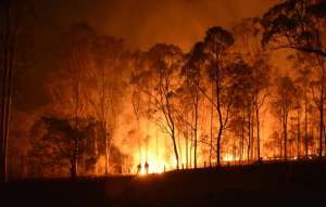 Catastrophic Wildfire and Landslide Losses: Trends and Resolutions