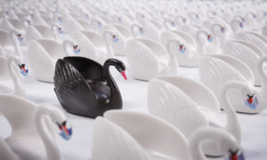 A Glassy Lake or Steep Waterfall? The Challenges of Predicting Black Swan Events